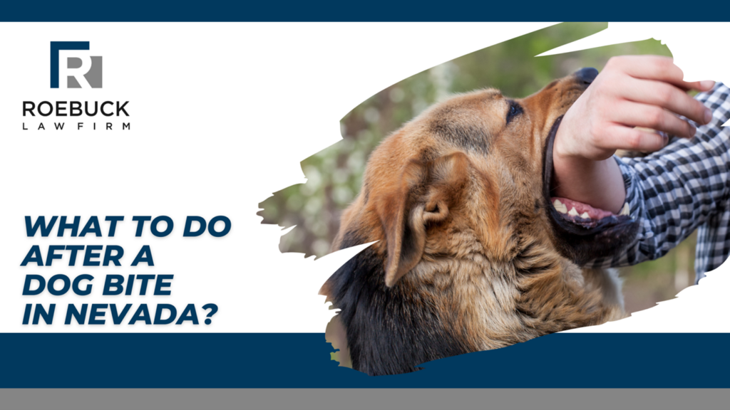 Dog bites can leave devastating injuries.
