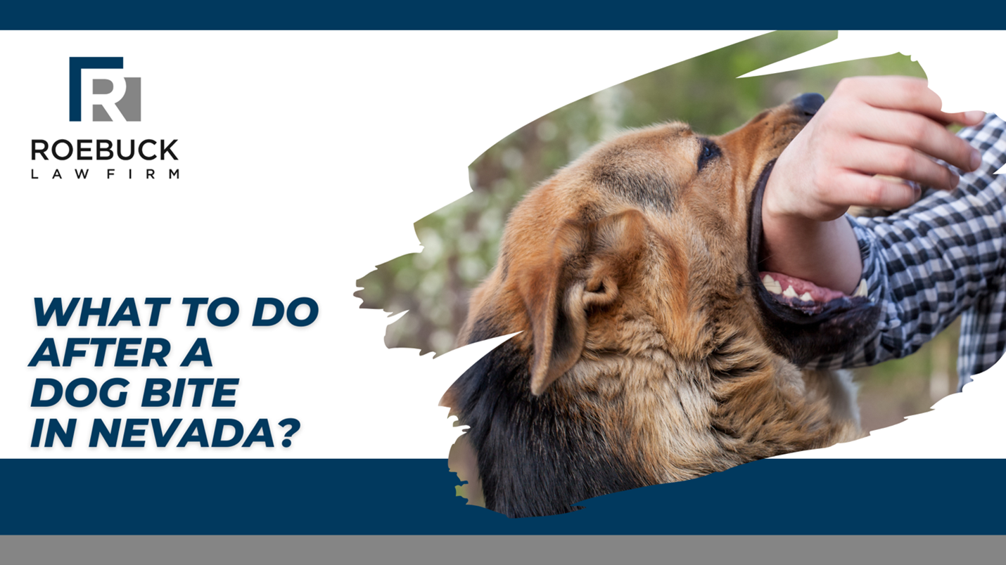 Read more about the article What To Do After a Dog Bite in Nevada?